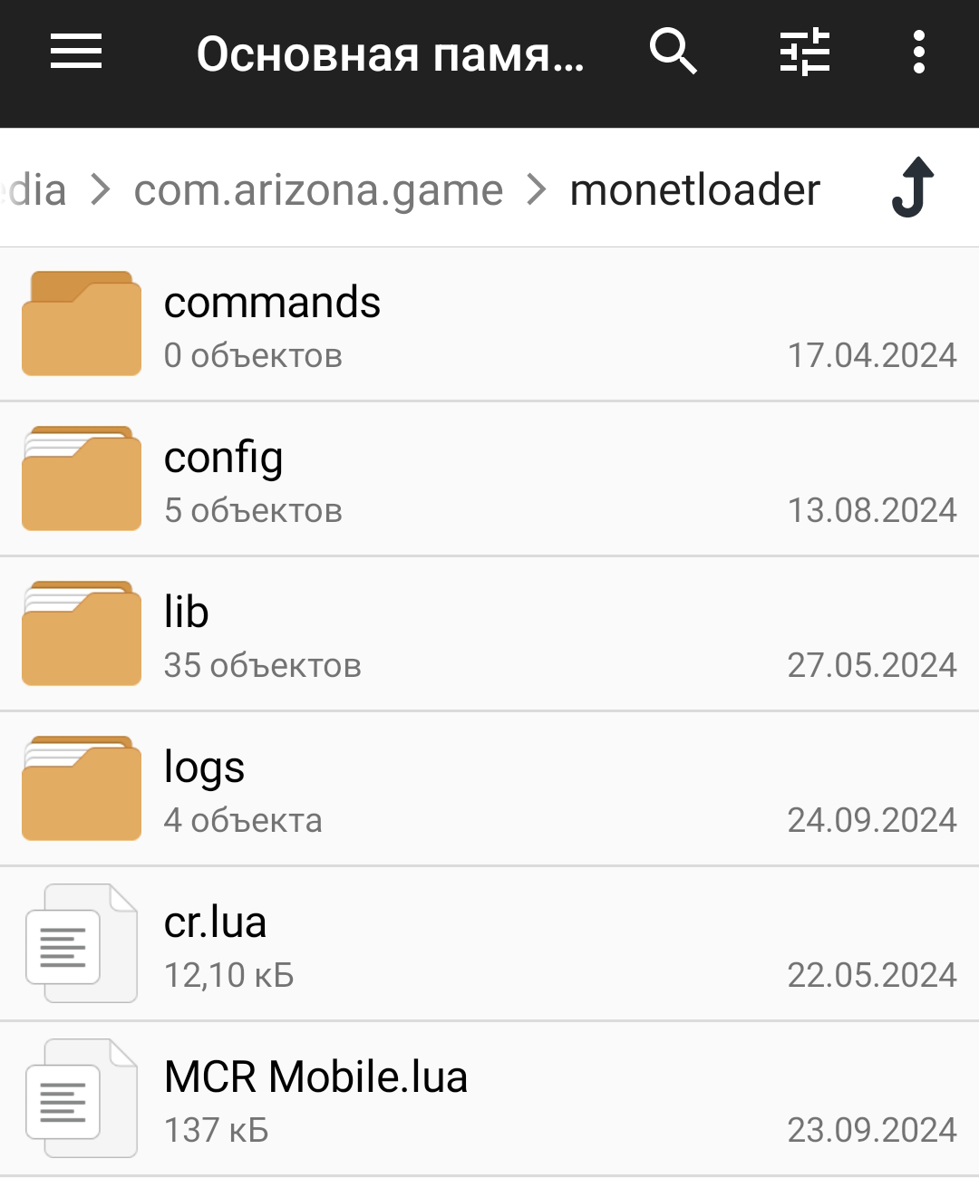 screenshot_file_monetloader